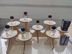 -白噪音White Noise·798概念店
