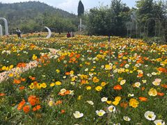 -名花谷生态庄园