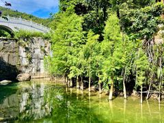 -广州市帽峰山景区