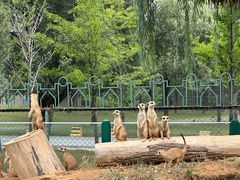 -秦皇岛野生动物园