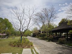 -西溪国家湿地公园