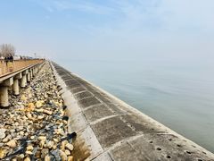 -东疆建设开发纪念公园