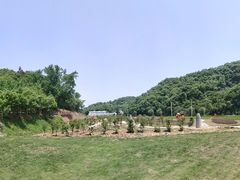 -千年银杏谷文化旅游区