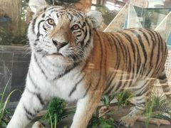 -弘安丽水温泉酒店