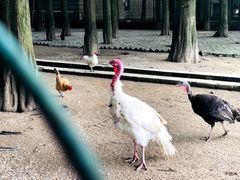 -南京金牛湖风景区