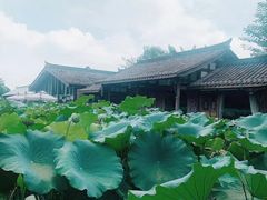 -莫催咖啡