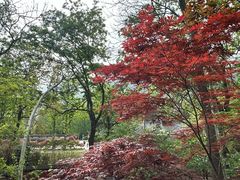 -青岛崂山太清宫