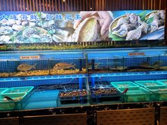 -蟹将军·松叶蟹和牛日料放题自助(K11店)