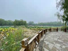 -三忘湖 SWANSEEN(柳荫公园店)