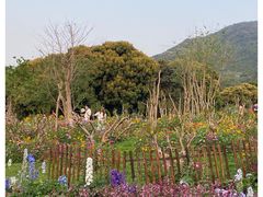 -深圳仙湖植物园