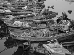 -悦海公园