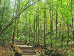 -凤栖山