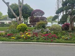 -杭州西湖柳莺里酒店·闻莺厅