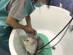 -瑞鹏宠物医院·宠保定点·心脏科·内科(御桥分院)