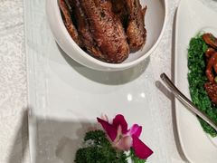 -梅龙镇酒家(南京西路总店)