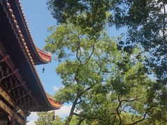 -南岳大庙