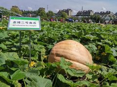 -长春农博园