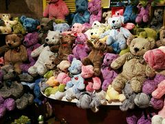 -济州岛泰迪熊博物馆