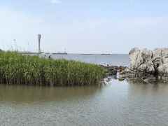 -吴淞炮台湾湿地森林公园烧烤区