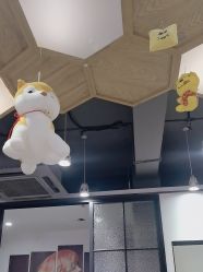 -心联形象设计·流星染