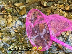 -井空里大峡谷