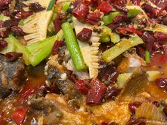 -老板恋上鱼(印象城店)