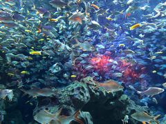 -成都浩海立方海洋公园