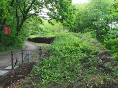 -五女山景区