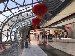 -法拉利主题公园