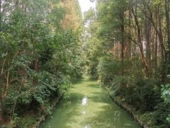 -同里国家湿地公园