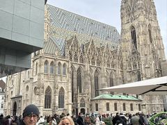 -斯蒂芬主教座堂(Stephansdom)