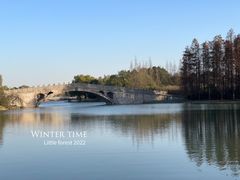 -上海共青森林公园