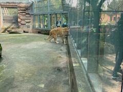 -宁波野生动物园