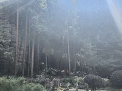 -梭布垭石林景区