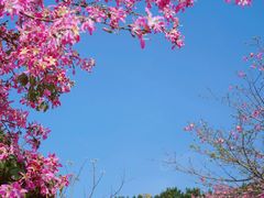 -风云岭森林公园