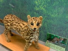 -下渚湖国家湿地公园科普馆