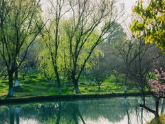 -西溪国家湿地公园