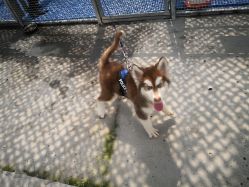 -萌宠亲子动物乐园(槐房万达店)