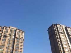 -亲水湾·龙园
