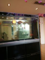 -纤姿俪纳·产后恢复连锁机构(鄞州万达店)