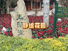 -白家大院·王府宫廷菜(苏州街店)