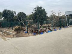 -菊园百果园