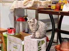 -行事老火锅(协信TOWN城店)