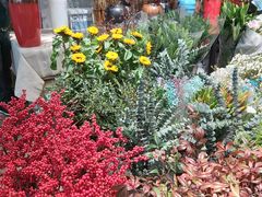 -双季花艺园艺市场(浦东店)