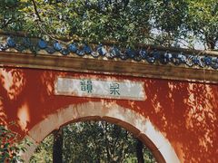 -灵谷景区