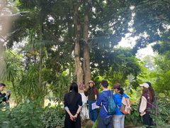 -广西壮族自治区药用植物园