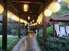 -杭州第一世界大酒店·云曼温泉