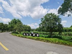 -乌村