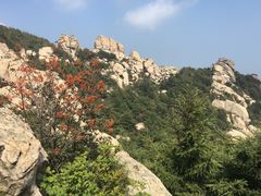 -崂山巨峰游览区