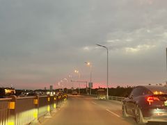 -合肥滨湖国家森林公园
